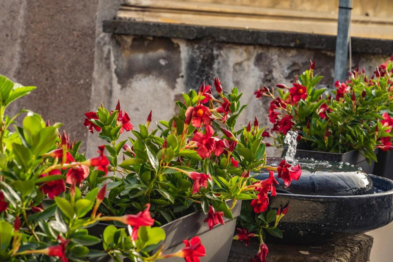 Ag Spanish Steps Terrace ローマ エクステリア 写真